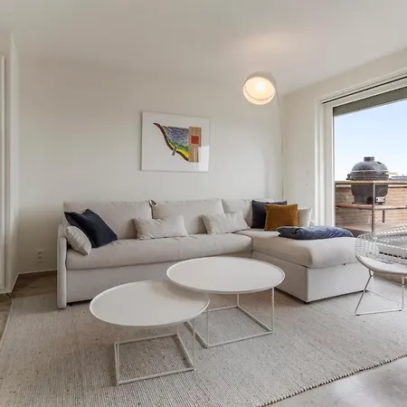 Seabald Ongelofelijke Penthouse Met Dakterras Koksijde